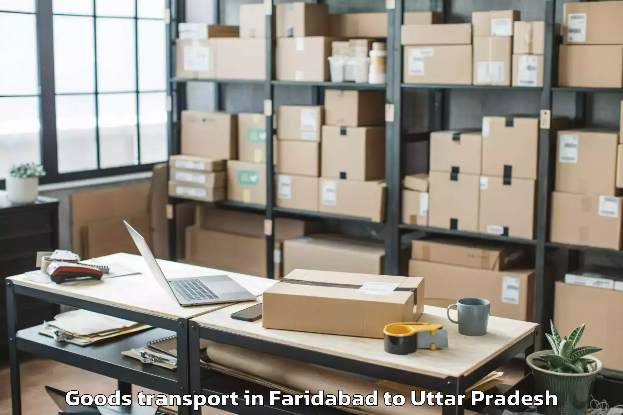 Trusted Faridabad to Nichlaul Goods Transport